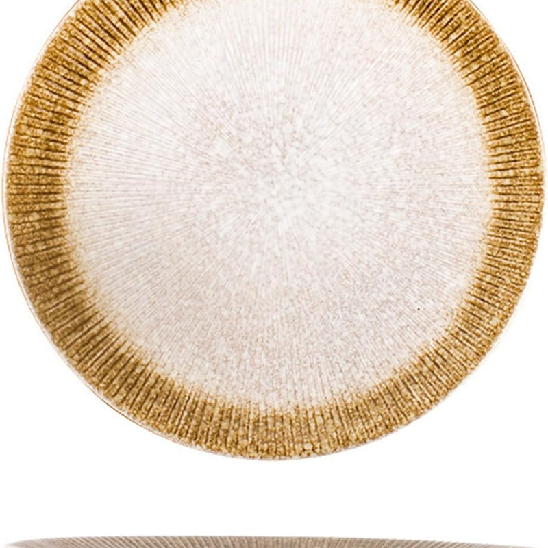 MIYUNO パスタ皿 皿 カレー皿 丸皿 プレート 焼物皿 ケーキ皿 焼き物皿 デザートプレート 取り皿 刺身皿 和食器 和皿 魚 お皿 食器セット 魚焼き器 dish 大皿 丸 陶器 陶盤 割れない 耐熱 電子レンジ 食洗機対応 和風 あじわい おしゃれ 業務用 レストラン 居酒屋 25.3cm 3枚セット TCPYX14