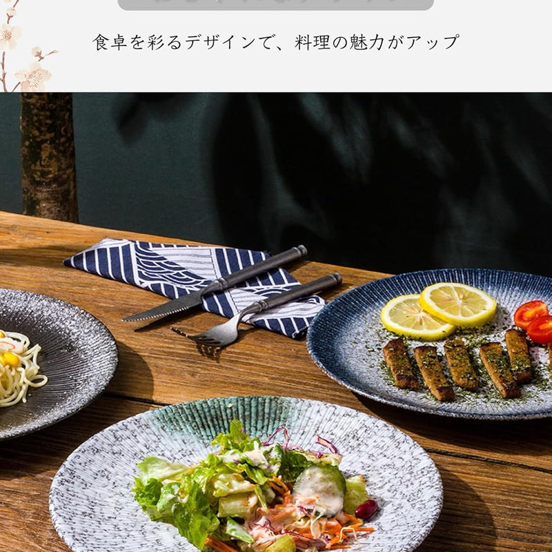 MIYUNO パスタ皿 皿 カレー皿 丸皿 プレート 焼物皿 ケーキ皿 焼き物皿 デザートプレート 取り皿 刺身皿 和食器 和皿 魚 お皿 食器セット 魚焼き器 dish 大皿 丸 陶器 陶盤 割れない 耐熱 電子レンジ 食洗機対応 和風 あじわい おしゃれ 業務用 レストラン 居酒屋 25.3cm 3枚セット TCPYX14