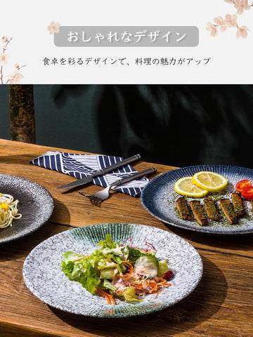 MIYUNO パスタ皿 皿 カレー皿 丸皿 プレート 焼物皿 ケーキ皿 焼き物皿 デザートプレート 取り皿 刺身皿 和食器 和皿 魚 お皿 食器セット 魚焼き器 dish 大皿 丸 陶器 陶盤 割れない 耐熱 電子レンジ 食洗機対応 和風 あじわい おしゃれ 業務用 レストラン 居酒屋 25.3cm 3枚セット TCPYX14