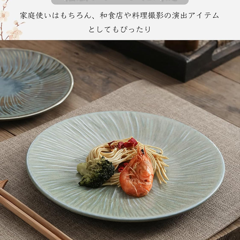 皿 丸皿 焼物皿 ケーキ皿 パスタ皿 プレート 焼き物皿 デザートプレート 取り皿 刺身皿 和食器 和皿 魚 お皿 食器 魚焼き器 dish 大皿 丸 陶器 陶盤 割れない 耐熱 電子レンジ 食洗機対応 和風 あじわい おしゃれ 業務用 レストラン 居酒屋 23cm TCPYX10