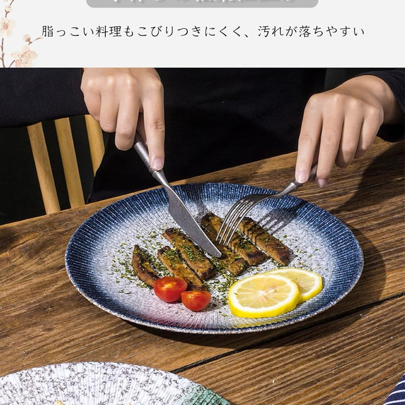 MIYUNO パスタ皿 皿 カレー皿 丸皿 プレート 焼物皿 ケーキ皿 焼き物皿 デザートプレート 取り皿 刺身皿 和食器 和皿 魚 お皿 食器セット 魚焼き器 dish 大皿 丸 陶器 陶盤 割れない 耐熱 電子レンジ 食洗機対応 和風 あじわい おしゃれ 業務用 レストラン 居酒屋 25.3cm 3枚セット TCPYX14